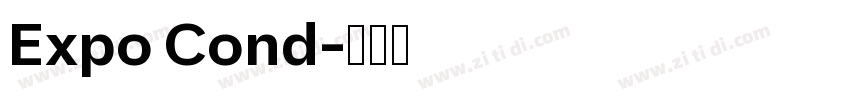 Expo Cond字体转换